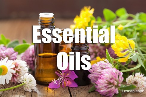 Essential Oils For A Health Holistic Living