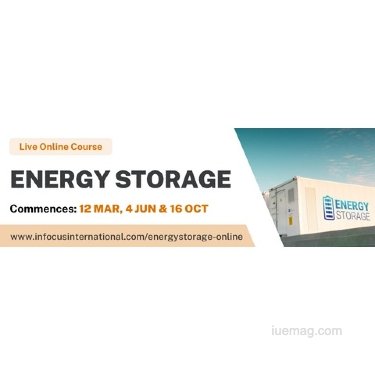 Business-Focused Energy Storage Live Online Course