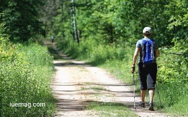 Maintain A Good Quality Hiking Pole