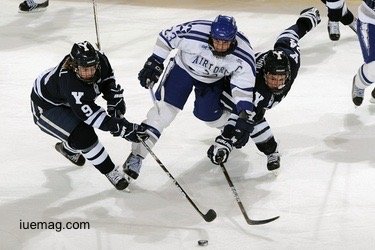 Ice hockey popularity in New York