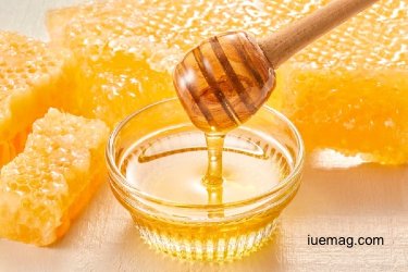 Why Pure Canadian Raw Honey Is a Must-Have in Modern Homes