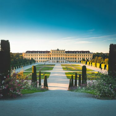 Top 6 Things to Do and Experiences in Vienna That Will Leave You Inspired