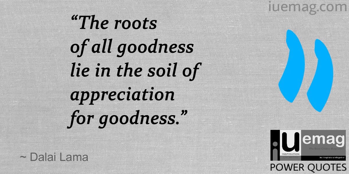  Quotes: Value Of Appreciation