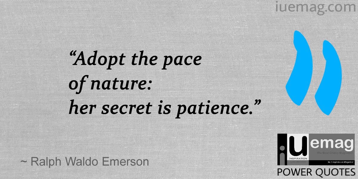Patience Quotes That Will Calm You Down