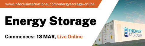 Interactive Energy Storage Virtual Workshop