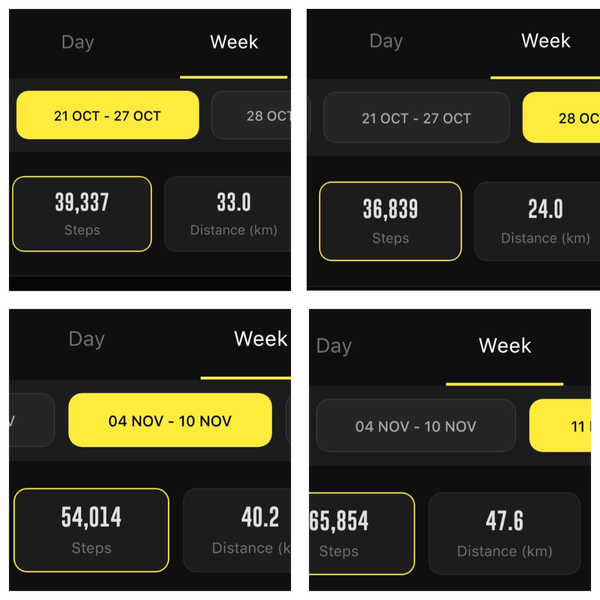I Walked 1 Million Steps in 120 Days- This is What I Learnt