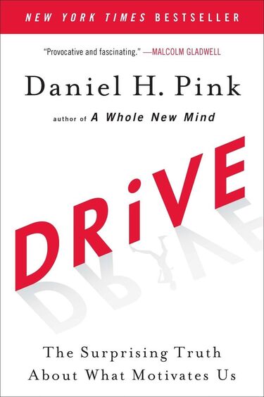 Drive The Surprising Truth About What Motivates Us-Best Self help book