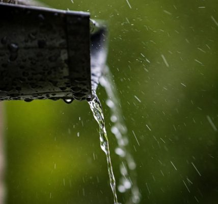 Benefits of Rainwater Harvesting Systems for Smart Homeowners