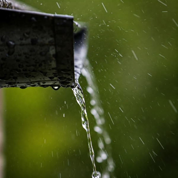 Benefits of Rainwater Harvesting Systems for Smart Homeowners