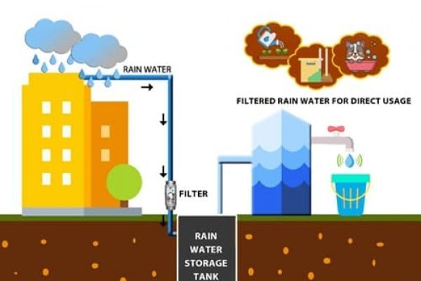 Benefits of Rainwater Harvesting Systems for Smart Homeowners