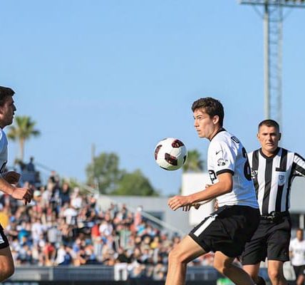 Finding Your Way Through Professional Sports: A Beginner's Journey