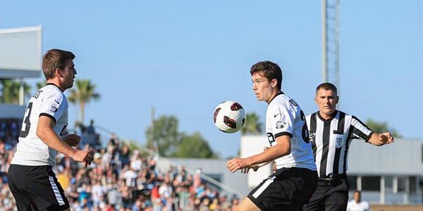Finding Your Way Through Professional Sports: A Beginner's Journey