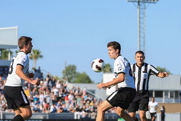 Finding Your Way Through Professional Sports: A Beginner's Journey