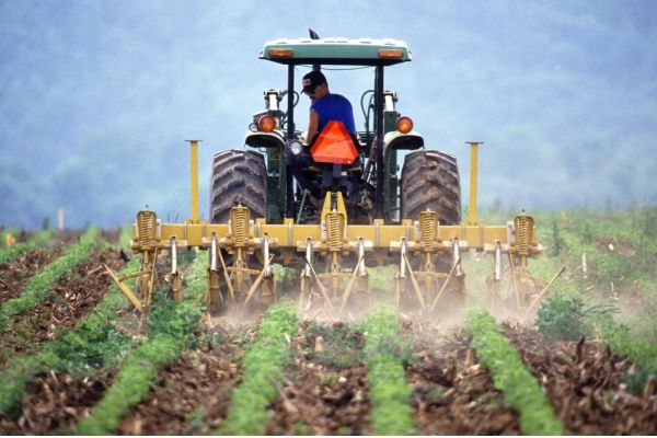 How Digital Marketplaces for Farmers Are Helping Them Sell Produce Directly to Consumers