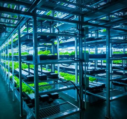 Why Hydroponic Farming is Gaining Popularity Among Urban Growers