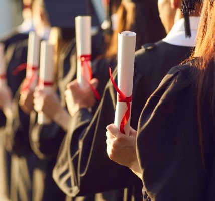 Get Inspired with a Fake Diploma: A Visual Goal to Chase the Real Deal