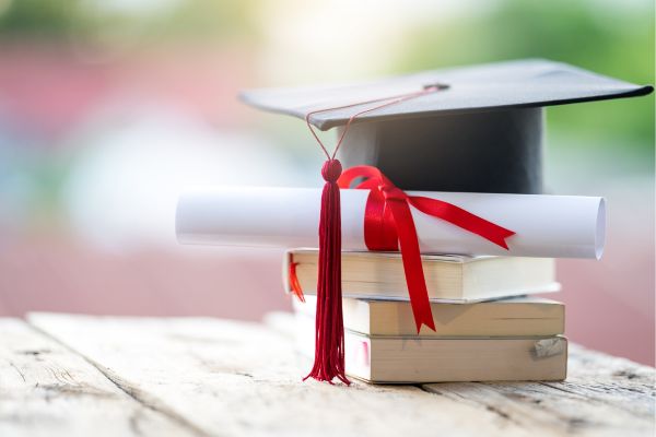 Get Inspired with a Fake Diploma A Visual Goal to Chase the Real Deal