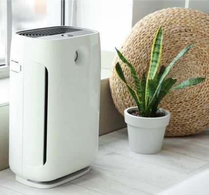 How Air Purifiers Improve Indoor Air Quality in Urban Homes