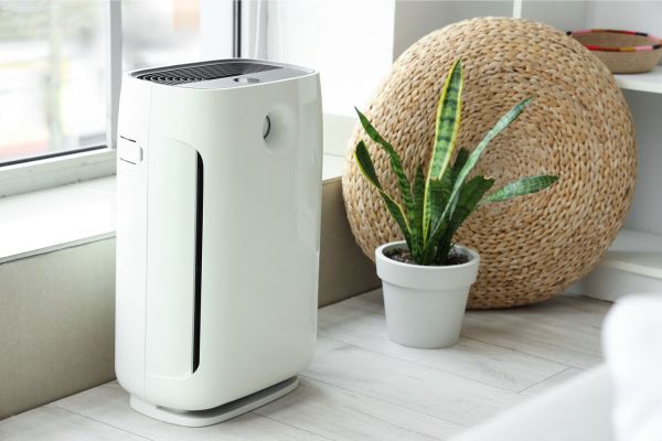 How Air Purifiers Improve Indoor Air Quality in Urban Homes