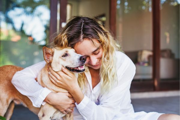 Why Pet Insurance is Becoming More Common Among Pet Owners Why Pet Insurance is Becoming More Common Among Pet Owners