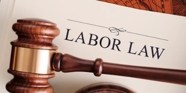 How to Use Provincial Labour Boards to Assert Your Employment Rights