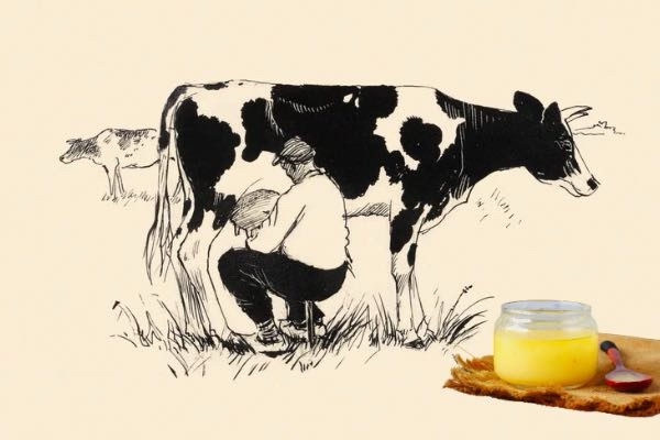 Everyone’s Talking AI — But Ghee Just Became a $16 Billion Industry (And the World Is Catching On) 1