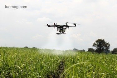 Drone based plant health imaging