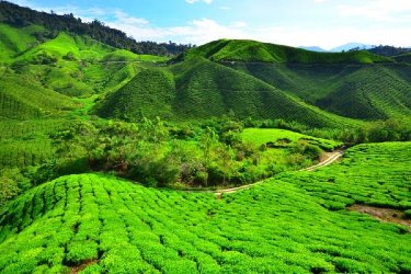 Top 6 Things to Do and Experiences in Darjeeling That Will Leave You Inspired