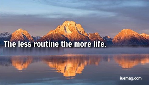 Less routine brings more life