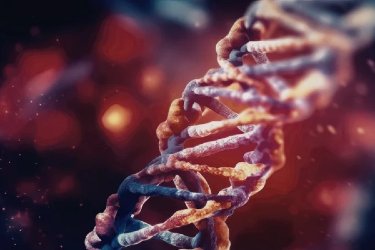 Inspiring Role of Genomic Sequencing in Revolutionizing Personalized Medicine