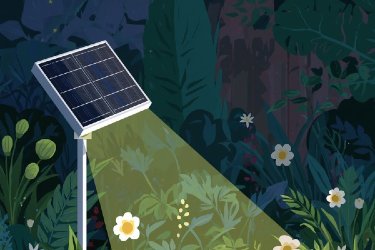 Why Choose Solar Flood Lighting for Your Garden
