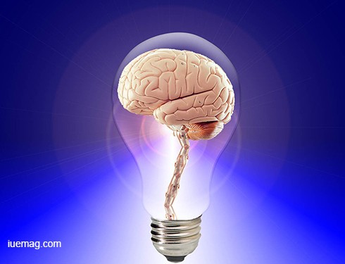 Five ways to creative human brain memory