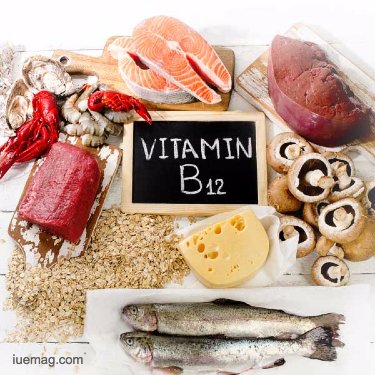 All you need to know about Vitamin B12