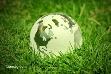 Why Going Green Is Becoming the Secret to Sustainable Success for Small Businesses