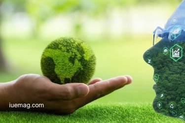 The Sustainability Edge: How Green Practices Are Driving Business Growth