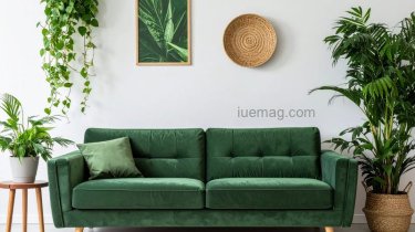 Indoor Green Corners: Affordable Ways Plants Are Becoming the New Decor Trend