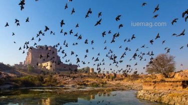 Top 6 Things to Do and Experiences in Jodhpur That Will Leave You Inspired
