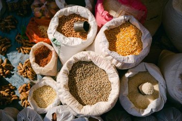 Top Protein Sources For Vegetarians That Burn A Hole In Your Pocket
