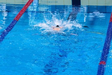 Indoor Sports: Why Urban Professionals Are Turning to Recreational Activities for Better Lifestyle B